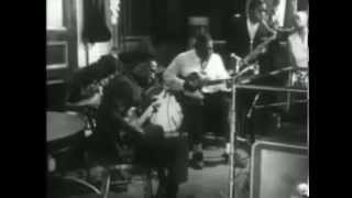 Video thumbnail of "Howlin' Wolf - Down In The Bottom - live 1966"