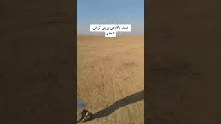 خسف بالارض سوريا الرقه سبحان الله