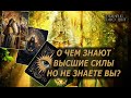 О чем знают Высшие Силы, но не знаете вы🔥🔮 🔥 #таро#tarot#gadanie#онлайн#гадание#расклад#таролог