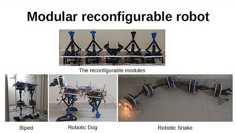 Untrained Modular Reconfigurable Robots: Quadruped, Biped and Snake Robot