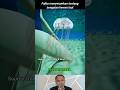 Ternyata serem juga kalau disengat hewan laut #shortvideo #shorts