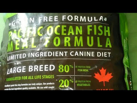 dog food - YouTube