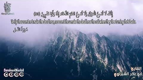اترك الدنيا جانبا و استمتع بآيات الرحمن    القارئ ابو بكر الشبراوي يبدع  HD