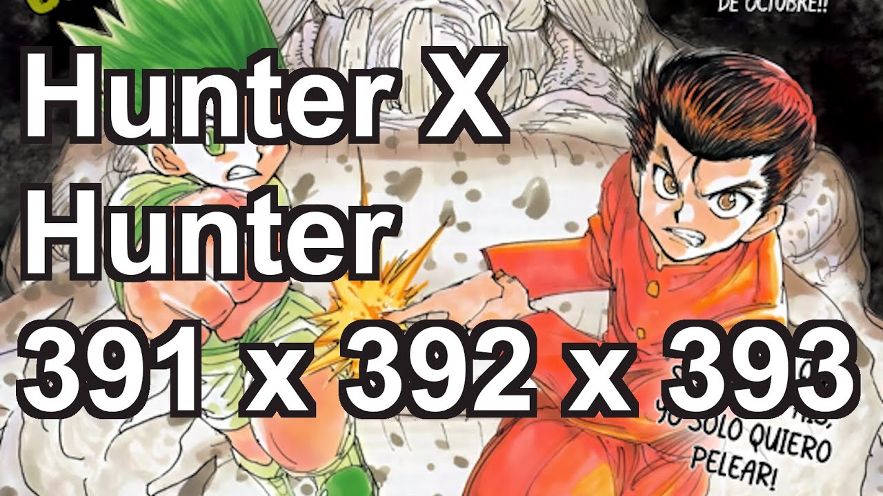 Hunter X Hunter - Capítulos 391 / 392 / 393 - YouTube