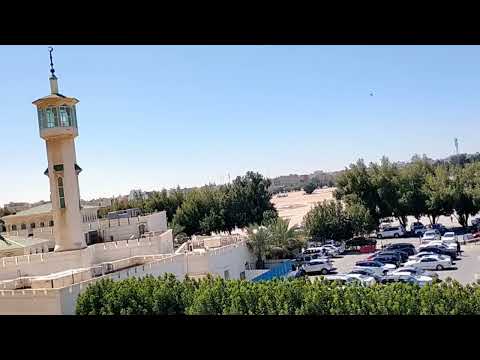 الجوع بئس الضجيع 