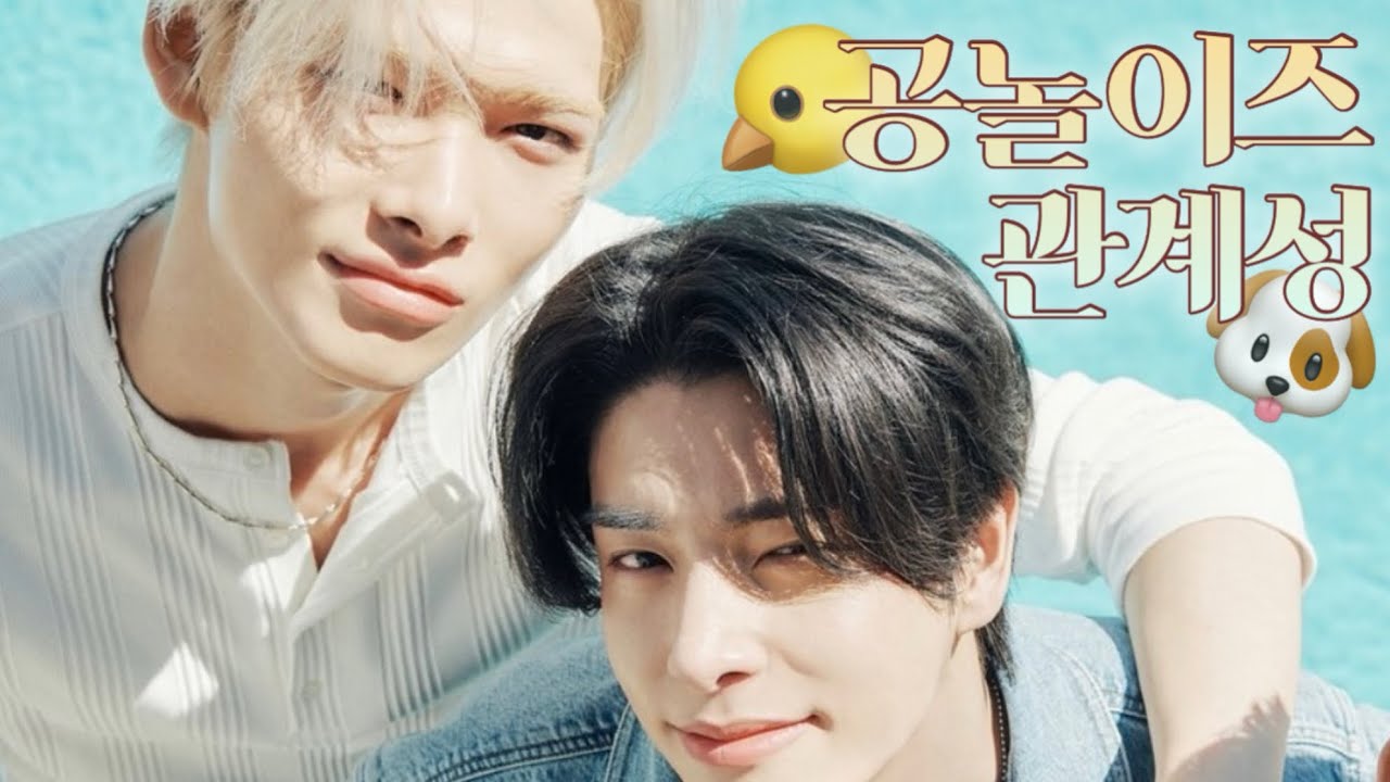 [엔하이픈] 투닥투닥 공놀이즈 케미 모음