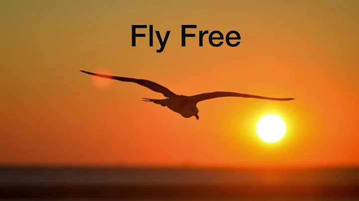 Fly Free (by John Maul)