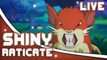 Pokémon ORAS - LIVE SHINY RATICATE After 84 DexNav Encounters (Twitch Highlight)
