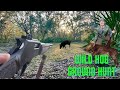 Henry 357 magnum hog hunt