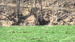 TSSJ Obstacle Course 2015