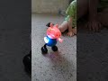 dancing pig, children&#39;s fun