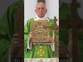 Le parole di Papa Francesco sul Vangelo di oggi, 13 novembre  #papafrancesco #shorts