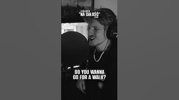 Thumbnail of If I Had A Verse On “Na Całość” by PlanBe