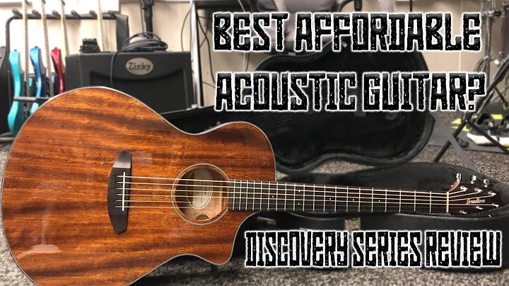 Should You Buy a Breedlove Discovery Series Guitar? | Demo and Honest Review
