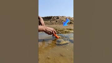 River Treasure Hunting Using Metal Detector #metaldetecting #shortsfeed #treasurehunting #findgold