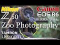 Nikon Z50 • Canon R6 • Chattanooga Zoo Photography   4K