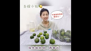 台灣屏東香檬哪裡買｜香檬好在哪｜香檬種植｜香檬功效｜什麼 ... 