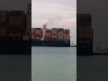 MSC Ship 🚢🚢🚢 Vlogs Marchant Navy Life All Vedeo available 🚢🚢🚢🚢🚢