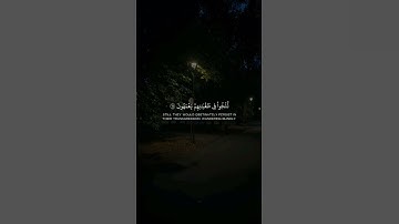 سورة المؤمنون | القارئ : #عبدالرحمن_مسعد #quran #راحة_نفسية #viral #foryou #اجر_لي_ولكم🤎.