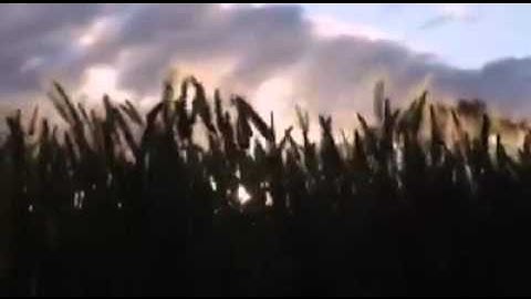 أذكار الصباح و المساء