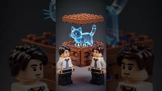 Only 1% Can Solve This Quantum Twin Riddle