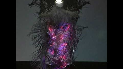 Marine Evolution  Algorithm Skeleton-Interactive to Audio