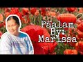 Marissa PAALAM (cover)