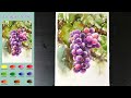 Grape Vine - Fruit Watercolor (sketch & color name view, material introduce) NAMIL ART