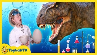 Giant Life Size Dinosaur Eggs Hatch! Dinosaurs & T-Rex Escape from Dino Park in Fun Kids Toy Video