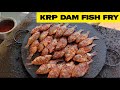       krp dam fish fry  krishnagiri food review  krishnagiri dam fish fry