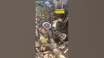 Ukrainian Soldier Rescued and Fed Abandoned Dogs on the Battlefield #warinukraine