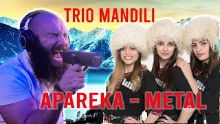 APAREKA METAL COVER by Tomorrow Man  აპარეკა Trio Mandili  #TrioMandili #metalcover #apareka Resimi