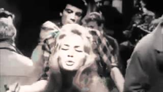 Celebrity TUMBLEWEEDS by Huffamoose Singer Songwriter Craig Elkins from his forthcoming release "I Love You" Profile