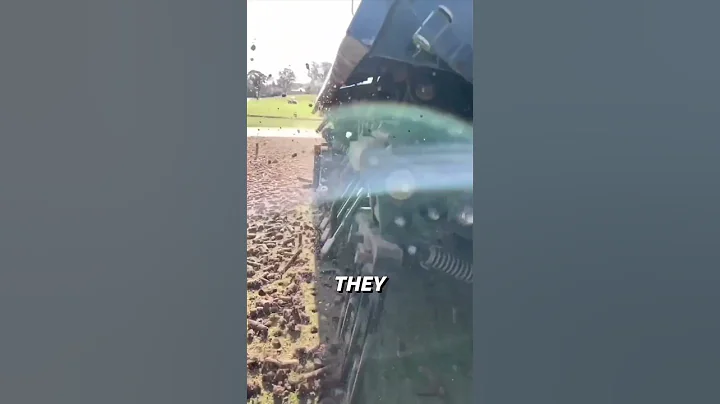 The Secret to Healthy and Lush Golf Course Grass #shorts