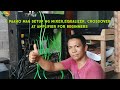 Paano mag setup Ng mixer, equalizer, crossover at amplifier for beginner? Electronics | Electrician