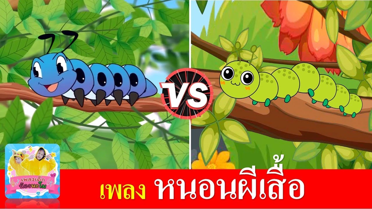เพลง หนอนผีเสื้อ | หนอนต้วมเตี้ยม | 2เวอร์ชั่น การ์ตูนน่ารัก