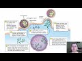 Chapter 25   The RNA Viruses of Medical Importance (CC)