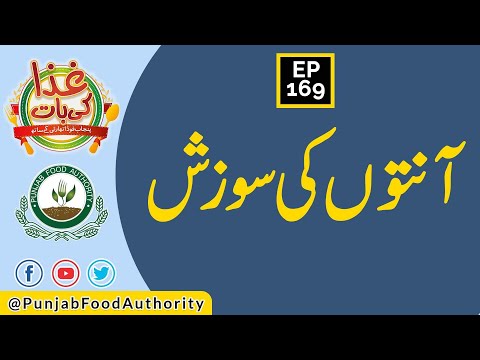 Inflammatory Bowel Disease |آنتوں کی سوزش  | Ep 169 | Punjab Food Authority | Ghiza Ki Baat