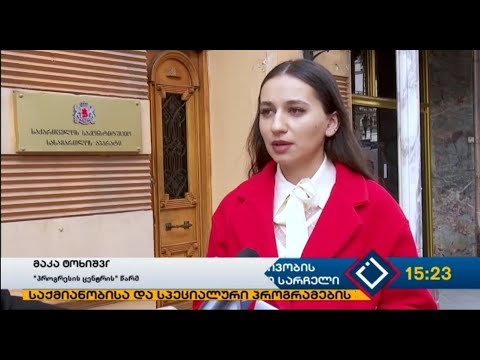 საკონსტიტუციო სარჩელი - Constitutional suit