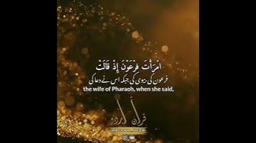 سورة التحريم: ١١،١٢|At Tehreem: 11,12|اسلام صبحي|Islam Sobhi|قرآن اردو ترجمہ|Quran Urdu Translation