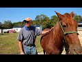 Horse Shelter Heroes - Episode 40 - October 1-7