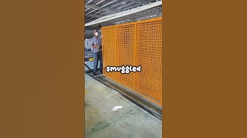 Wat is het meest illegale voorwerp dat je ooit iemand succesvol hebt zien smokkelen?