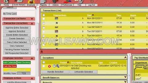 API Time and Attendance Employee Section2 camrec