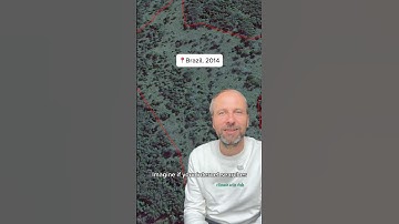 This is why I founded a green search engine 🌳💚