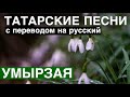 Татарские песни с переводом на Русский I Умырзая - Подснежник