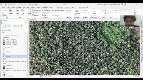 OBJECT DETECTION BERBASIS DEEP LEARNING UNTUK MONITORING KESEHATAN POHON SAWIT | SDGL Acara 3