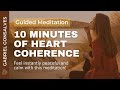 Quick 10mins of heart mind coherence  guided meditation with gabriel gonsalves