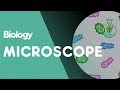Unveiling the Microscopic World: Exploring Cells and Magnification