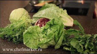 Салатные листья: как правильно хранить и что из них приготовить. Советы от ШЕФМАРКЕТ