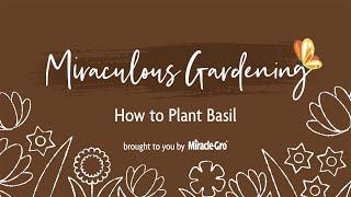 Miraculous Gardening - How to Plant Basil by Miracle-Gro 666 views 2 years ago 31 seconds